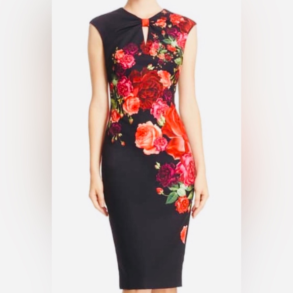 Mirrie rose dress, midi, Ted Baker, new without tag;